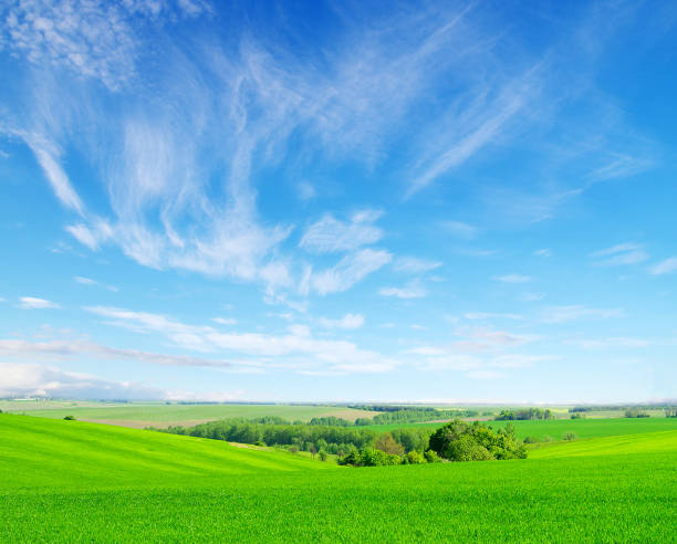 istock green field and blue sky 1085074498