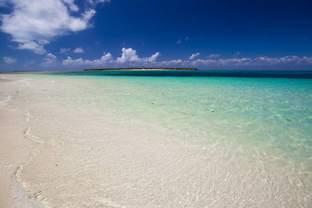 istock Zanzibar, landscape sea 1085077030