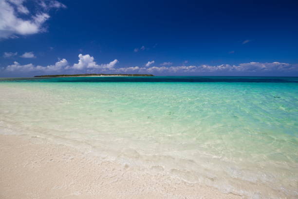 istock Zanzibar, landscape sea 1085077060