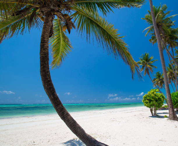 Zanzibar, paisagem do mar - foto de acervo