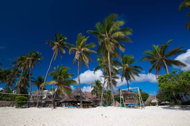 istock Zanzibar, landscape sea 1085077640