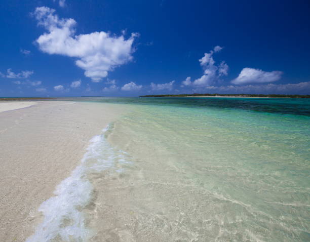 istock Zanzibar, landscape sea, white sand 1085078954