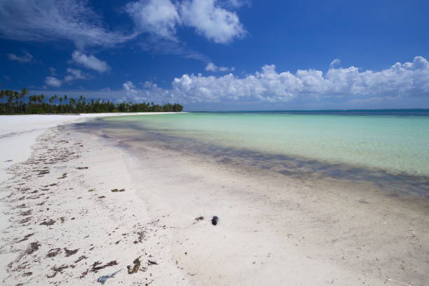 istock Zanzibar, landscape sea, white sand 1085078956
