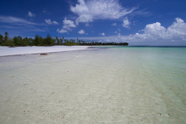 istock Zanzibar, landscape sea, white sand 1085079068