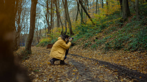 istock Man taking pictures in the forest 1085079236