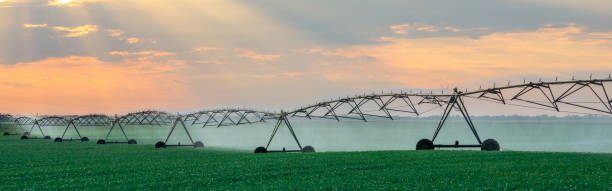 istock Irrigation system watering agricultural field 1085083174