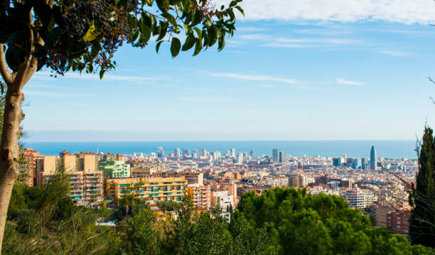 istock panorama of barcelona from park guell 1085093084