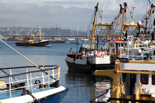 Some of the fishing trawlers of the Brixham fleet in harbour