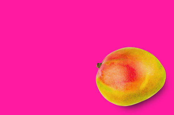 istock Fresh whole ripe mango on pink background with copy space for your text 1085098138