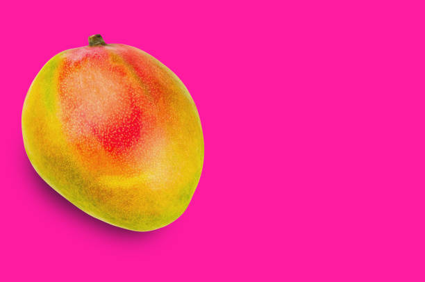 istock Fresh whole ripe mango on pink background with copy space for your text 1085098146