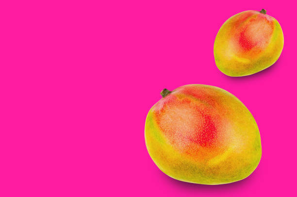istock Pair of whole ripe mango on pink background with copy space for your text 1085098150