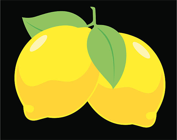 yellow lemons vector art illustration