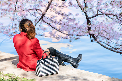 Washington DC, USA - April 5, 2018: Back of young asian, chinese woman, one person sitting by tidal basin, legs, feet hanging above water, washington monument reflection, cherry blossom tree, branch