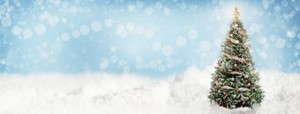 istock Christmas Snowy Scene Web Banner 1085114092