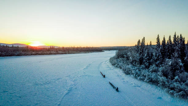 сани собака yukon реки - yukon стоковые фото и изображения