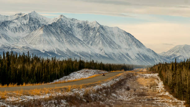 parque de kluane - yukon - fotografias e filmes do acervo