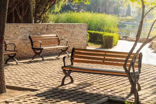 istock Benches in the park 1085119238
