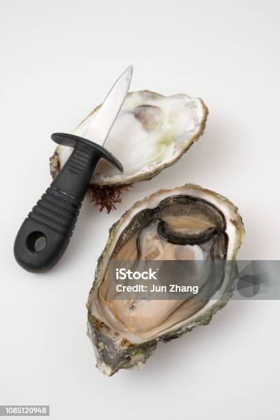 Oyster Knife And Shucked Cocktail Oysters Harvested In Evening Cove British Columbia Canada Stock Photo - Download Image Now