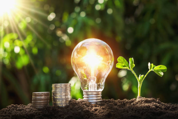 istock lightbulb with young plant and money stack on soil. concept saving energy and money 1085122662