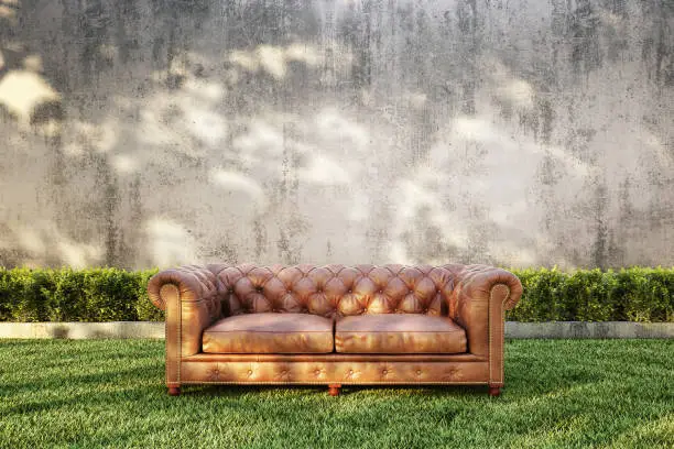 Classic Sofa with bush and bare concrete wall background. 3D illustrator