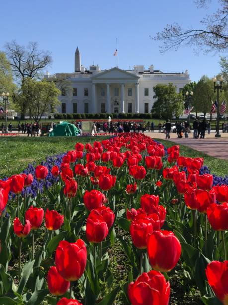 Lafayette Square
