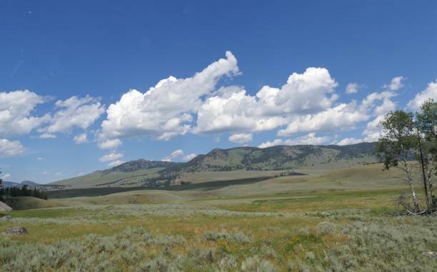 istock Yellowstone National Park nature views 1085145098