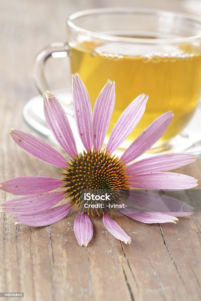 Herbal tea and purple coneflower Echinacea purpurea flower against the cup of herbal tea Alternative Medicine Stock Photo