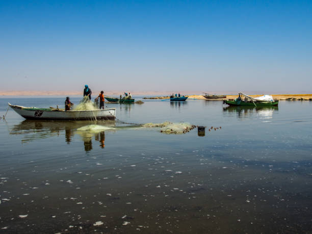 barcos de pesca en el lago qaroun - fayoum fotografías e imágenes de stock
