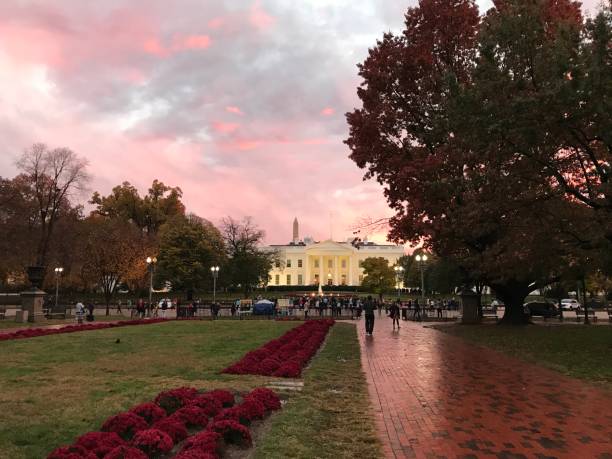 istock Light up White House and Pink SKY 1085155694