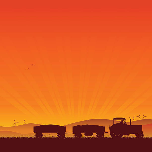 illustrations, cliparts, dessins animés et icônes de tracteur silhouette - wheat cereal plant agriculture whole wheat