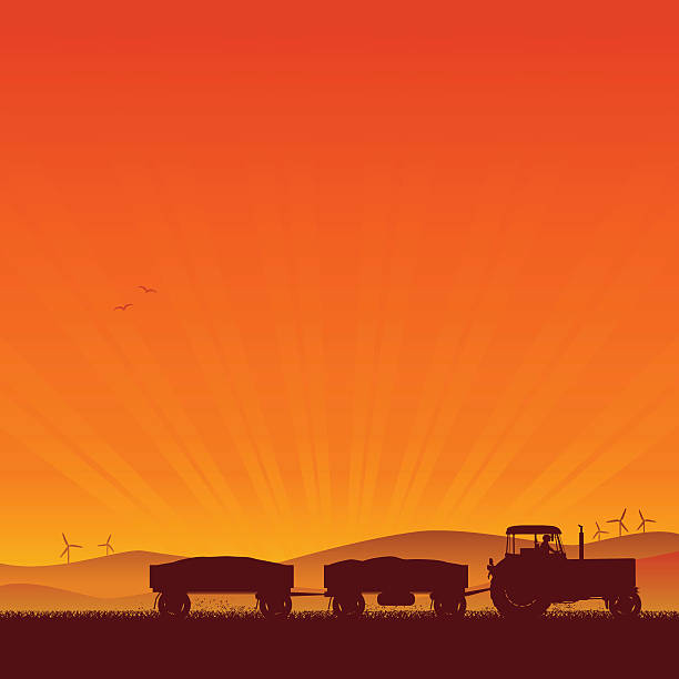 Tractor Silhouette Tractor working in a wheat field at sunset farm silhouettes stock illustrations