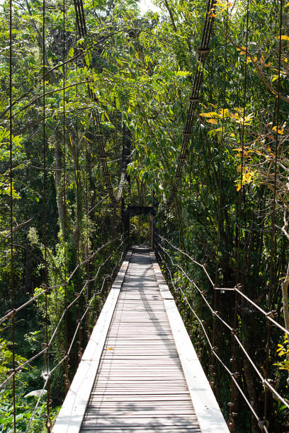 istock The wooden bridge across the waterfall on a sloping wire rope. 1085162682