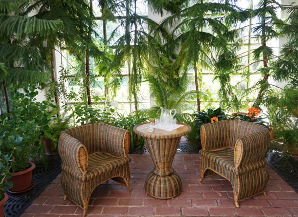 istock small winter garden with tropical plants 1085170274