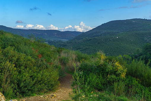 Landscape of Mount Carmel, a National Park area. Northern Israel