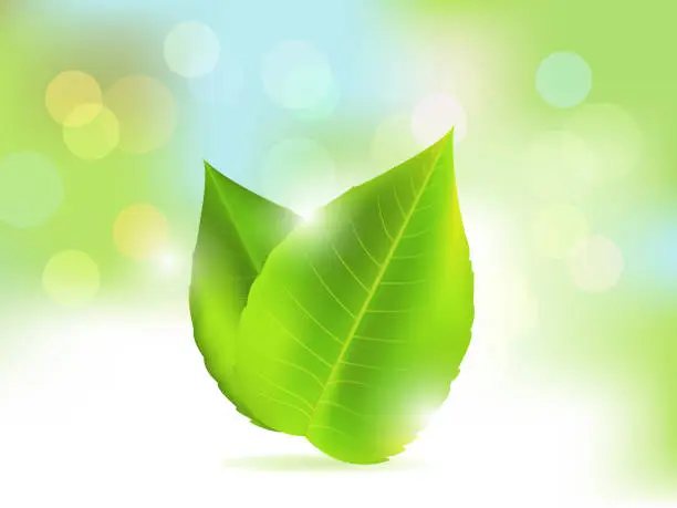 Vector illustration of Green Leaf Background