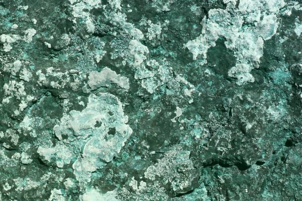 istock design rough mossy rock texture - nice abstract photo background 1085192128
