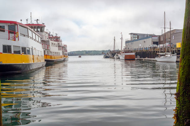 istock Harbor in Portland 1085197812