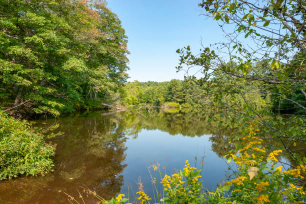 istock riparian scenery around Yarmouth 1085202222