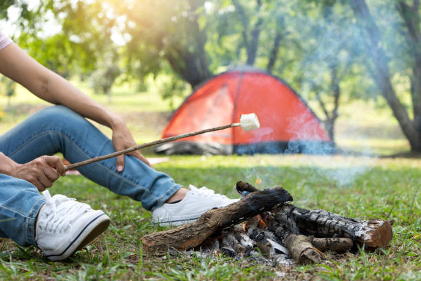 istock roasted sweet on fire in camping in the nature camp 1085204898