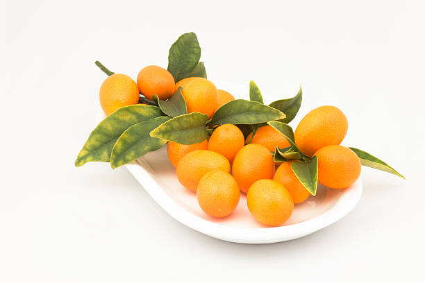 istock Kumquats on Plate, Fresh Fruit, Nutritious Food 108520495