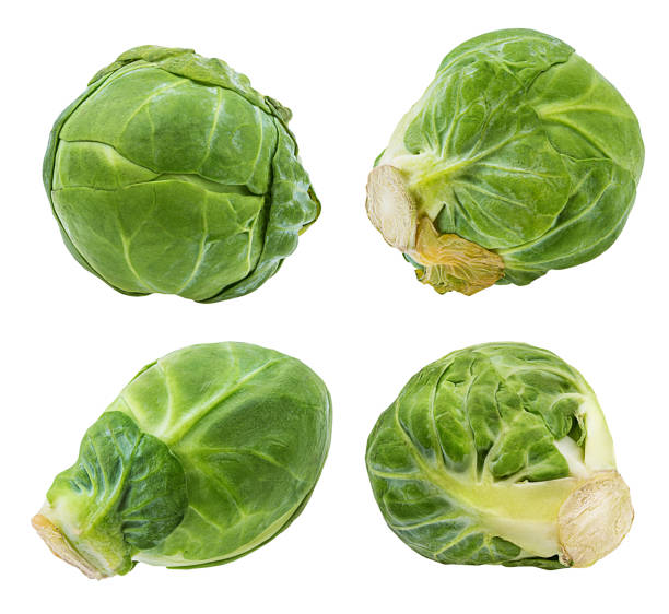 istock Brussels sprout isolated on white background with clipping path 1085207954