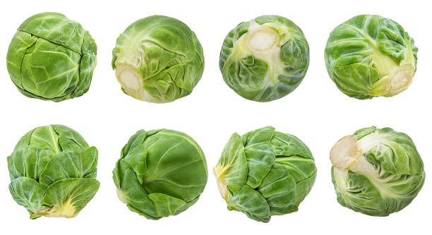 Brussels sprout isolated on white background with clipping path