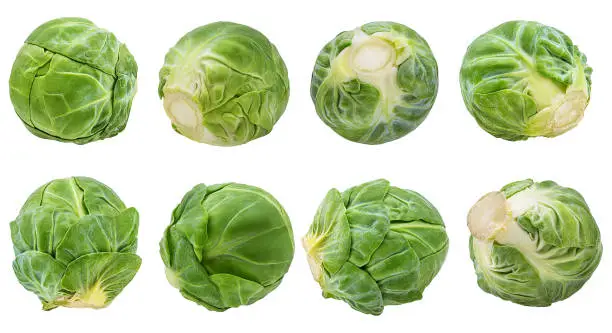 Fresh brussels sprout isolated on white background with clipping path