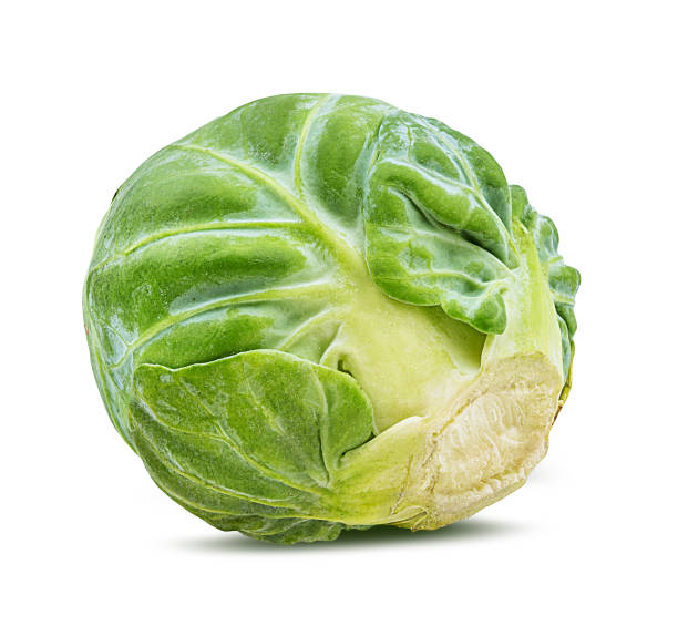 istock Brussels sprout isolated on white background with clipping path 1085208976