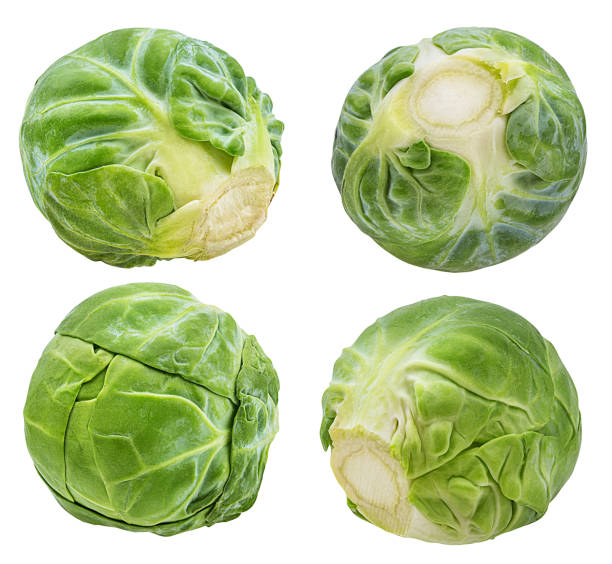 istock Brussels sprout isolated on white background with clipping path 1085212858