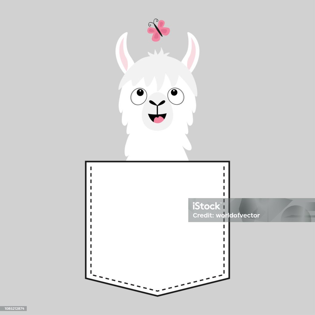 Llama Alpaca Đối Mặt Với Đầu Trong Túi Bươm Bướm Động Vật Hoạt ...