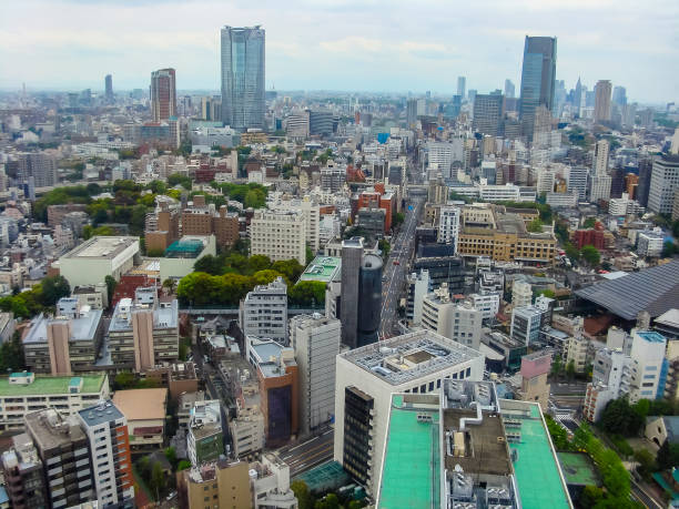 istock Panoramic view of Tokyo, Japan 1085216062