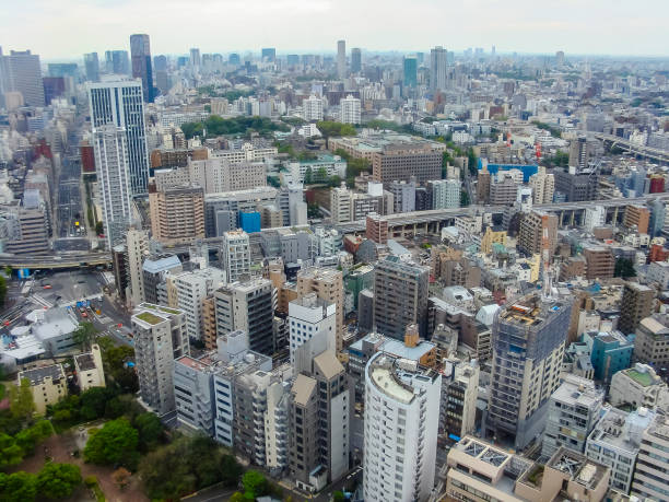 istock Panoramic view of Tokyo, Japan 1085216076