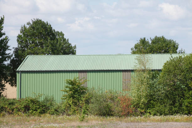 istock Green scale made of corrugated iron 1085224354