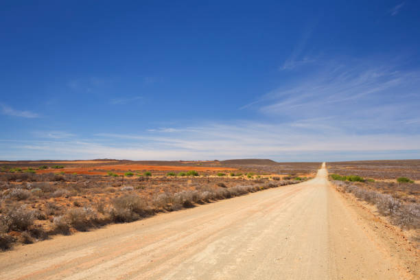 istock Dirt road through the Karoo in South Africa 1085225574